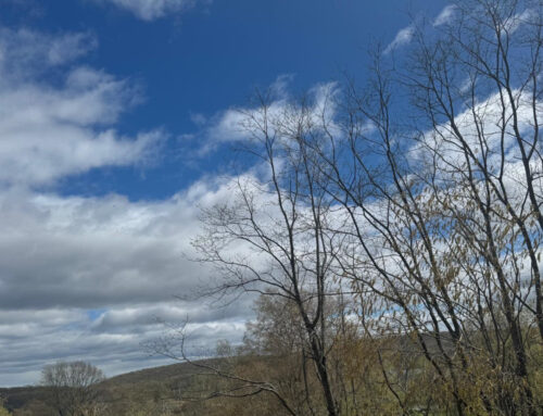 Dialectical Behavior Therapy (DBT) Tools